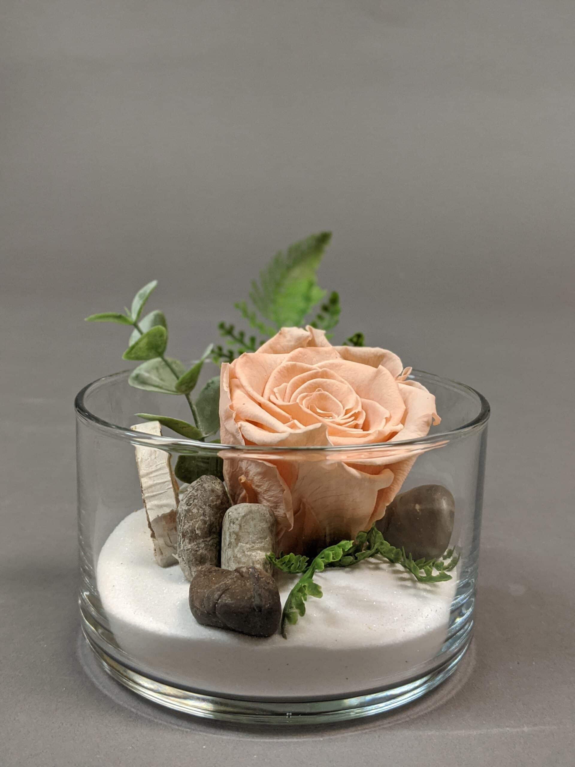 Rose éternelle RO005 Fleurs et jardins Lemieux